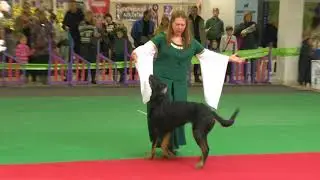 24.03.2018, Дебют HTM, Лобастова Инна и босерон Арвен