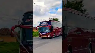 DALACUTES 🤩‼️#janggulee #basuri #busmania #buspariwisata #pariwisata #shortsviral #bussid#trending