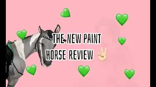 New Paint Horse Gaits| SSO