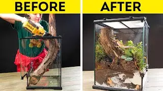 Build a Cozy Pet Home Using Stuff You Already Have! 🐾✨