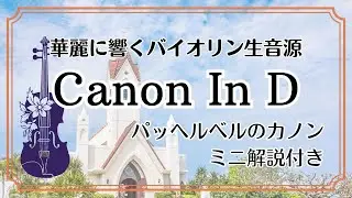 【パッヘルベルのカノン】バイオリン生演奏を家で味わう～Canon In D　#canon  #violin #弾いてみた #classic #pachelbel #healing