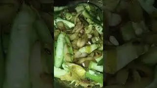 Na hoo K v Kareeb Tu Hamesha paaS Tha.. #nepalilifestyle #viralvideo #newchannelupdates