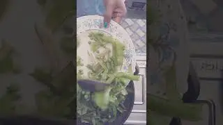 Untitled video