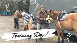 Training Day with The Ponies !