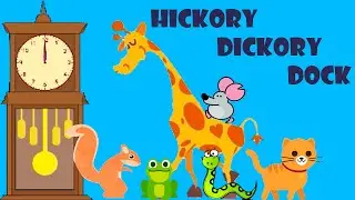 Hickory Dickory Dock |  Nursery Rhymes & Kids Songs