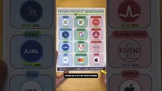 12 Stocks With Extreme Profit Margins
