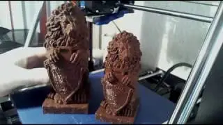 Lion Prints done in Das Filament PLA Review
