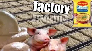 Factory তে কিভাবে Maggi Noodles তৈরি করা হয় | Amazimg food manufacturing process in Factories