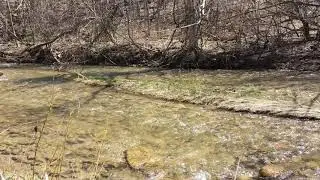 Pretty River Nottawa ON