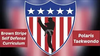 Self Defense | Brown Stripe | Polaris Taekwondo