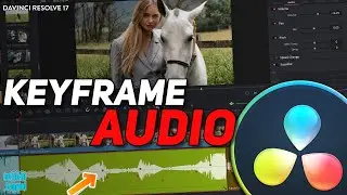 DaVinci Resolve  - Keyframe Audio & Adjust Clip Volume