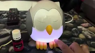 Young Living Feather The Owl with Bird Sound #malaysia #younglivingessentialoils #owl #humidifier