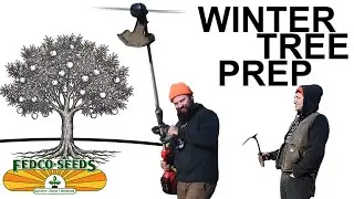 Winter Prep for Young Trees