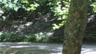 Bloody Run at the Battle of Cold Harbor