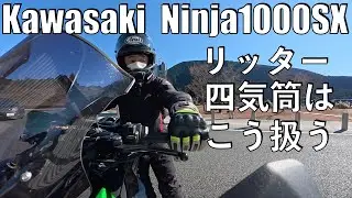 【No.1028】新東名の絶景はここしかない！Kawasaki Ninja1000SX 【富士山】The best view of Mt. Fuji from the expressway