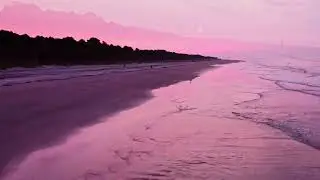 2022 South Carolina Lowcountry Drone Stock Footage by Andrew Goldstein Licensed Part 107 Pilot