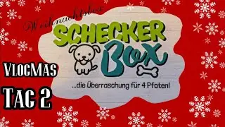 VlogMas Tag 2 ❄️ | Schecker Weihnachtsbox | Migräne