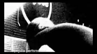 Noisy Sins of the Insect - Lora