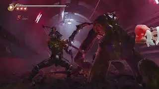 NINJA GAIDEN 2 Black - Path of the Master Ninja - Chapter 4