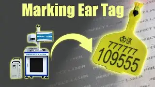 Laser Marking Animal Ear Tags: Precision Tracking for Modern Farms