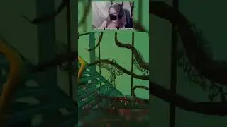 some survivors have such fragile egos.. #dbd #deadbydaylight #tiktok #dbdclips #funnyshorts #shorts