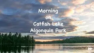 Morning on Catfish Lake, Algonquin Park - May 9, 2016