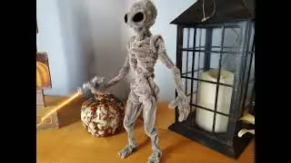 Hostile pipe cleaner grey alien at goes crazy again. #money