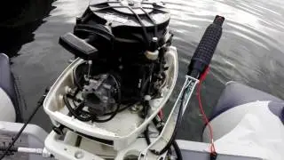 Johnson 30 Ps Bj. 1989 Standgas