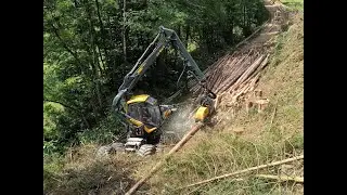 🌲4K| Ponsse Scorpion King • Harvesterwork • Steilhangaufarbeitung • Schreitbagger in Action 🌲