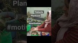 Short9 Life Lessons and Homegardening #ytshorts