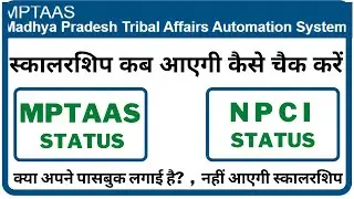HOW TO CHEK MP SCHOLARSHIP STATUS || MPTAAS PORTAL PAR SCHOLARSHIP KESE CHEK KAREN || #MPTAAS #PMS