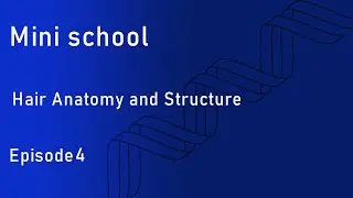 A journey into the world of hair anatomy and structure /سفری به دنیای آناتومی و ساختار مو / episode4