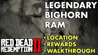 Red Dead Redemption 2 &mdash; Легендарный толсторогий баран (местоположение, награды, прохождение)