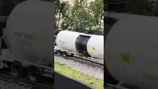 NS 1112 & 8888 guide a manifest across the CMRC Layout