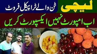 Lychee benefits & value addition  #lycheejuice #lycheefruit