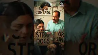 Supreme Court on Stray Dogs Latest Update 😱#SupremeCourt #Shorts