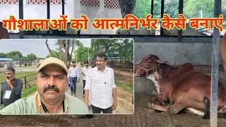 गौशालाओं को आत्मनिर्भर बनाने का मूलमंत्र #farming #gaushala #sorts #garden #nature#agriculture 