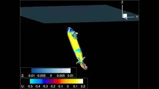 Computational Fluid Dynamics: Sub Crashback (Researcher: Pablo Carrica)