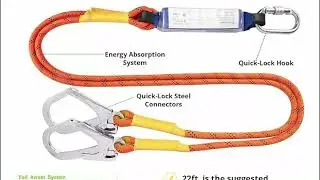 Top 5 Best Safety Harnesses 2025
