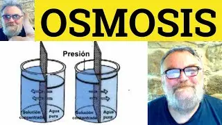😎 Osmosis Meaning - Osmosis Definition - Osmosis Defined - Osmosis Examples - Osmosis