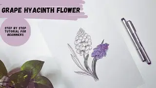 How to draw Grape Hyacinth | Muscari flower. Draw flowers with simple steps. Line and wash painting.