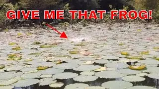 Sam Rayburn Bass Fishing Report Week of 10 8 19 Part II