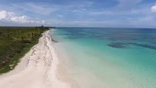 Drone View of Tropical Beach [Royalty Free Video]