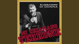 Mi chiamano terrone