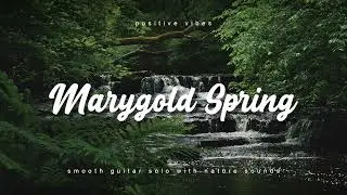 Nature Sounds with Guitar Solo - 