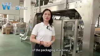WPV250 Vegetable Packaging Machine for Bean Sprout