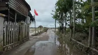 Hoi An 31/10/25 the big clean up begins