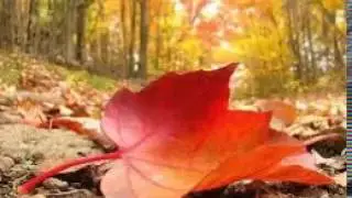 Otoño.  Amancio Prada