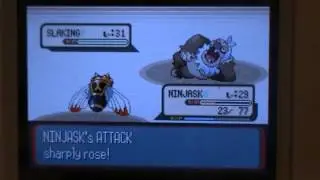 Pok&eacute;mon Sapphire Flying Monotype Run - Versus Norman.