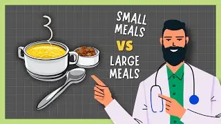 Should You Eat Several Small Meals or Fewer Larger Ones?